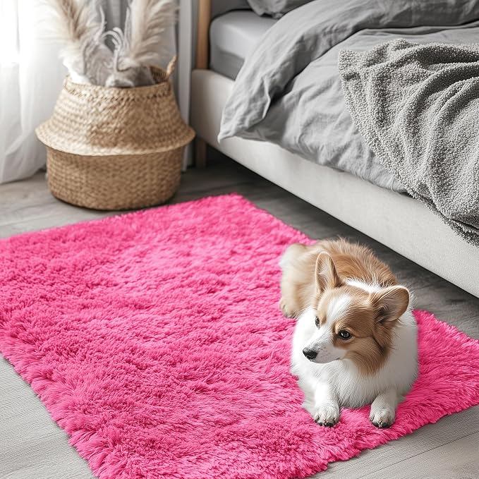 OLANLY 2x3 Machine Washable Small Bedside Rug, Soft Fluffy Shaggy Entryway by OLANLY