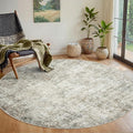 Round Rug 5ft Circle Rug Washable: Carpet Small Circular Area Rug by Aelenmu