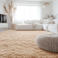 OLANLY 6x6 Area Rugs for Living Room Bedroom, Machine Washable Soft Fluffy by OLANLY
