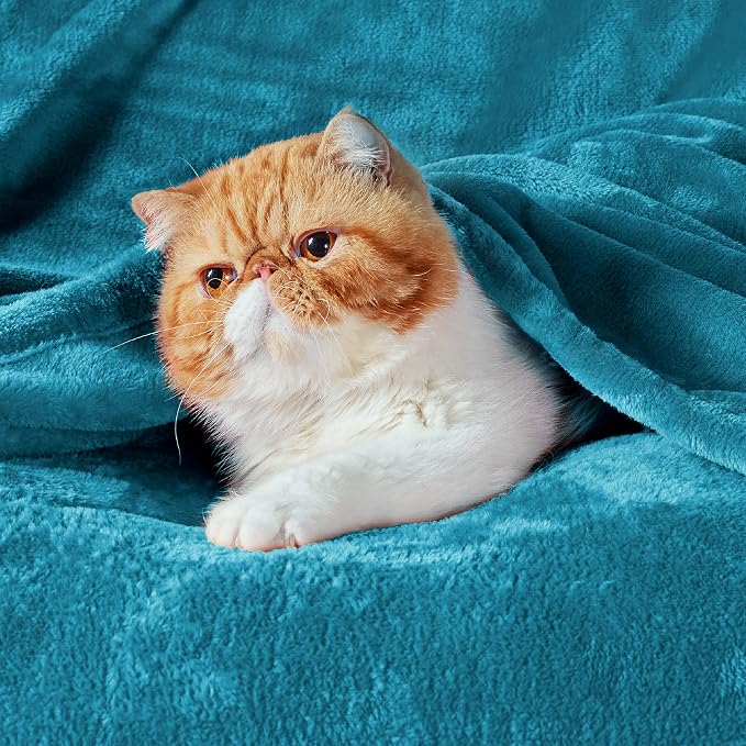 Bedsure GentleSoft Twin XL Fleece Blanket Dorm Bedding - Image 2