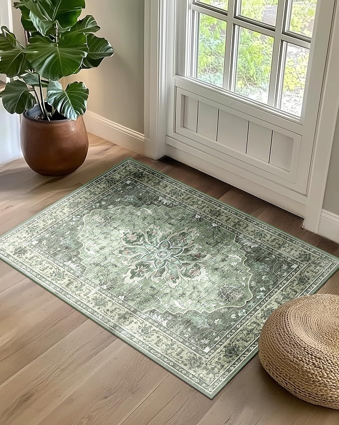 Area Rugs 2'x3' Kitchen Rugs Entry Rug Small Rugs by RELEANY