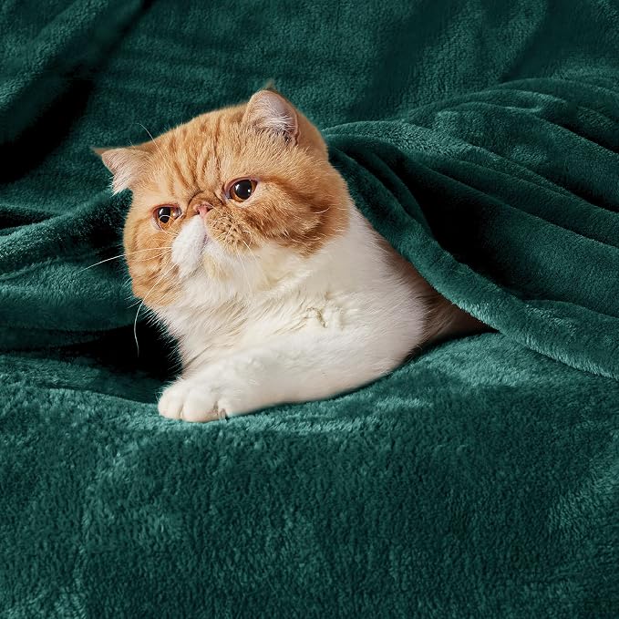 Bedsure GentleSoft Fleece Throw Blanket Forest Green - Image 2
