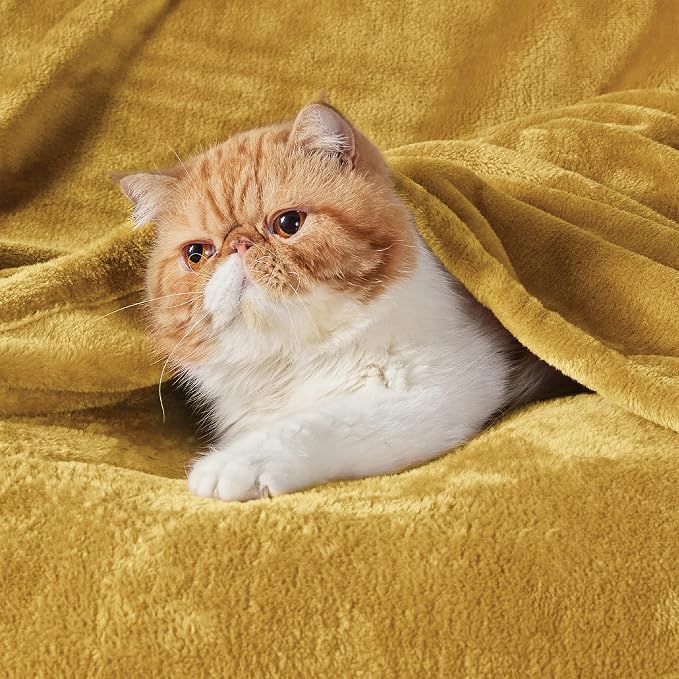 Bedsure GentleSoft Fleece Blankets King Size Gold Yellow - Image 2