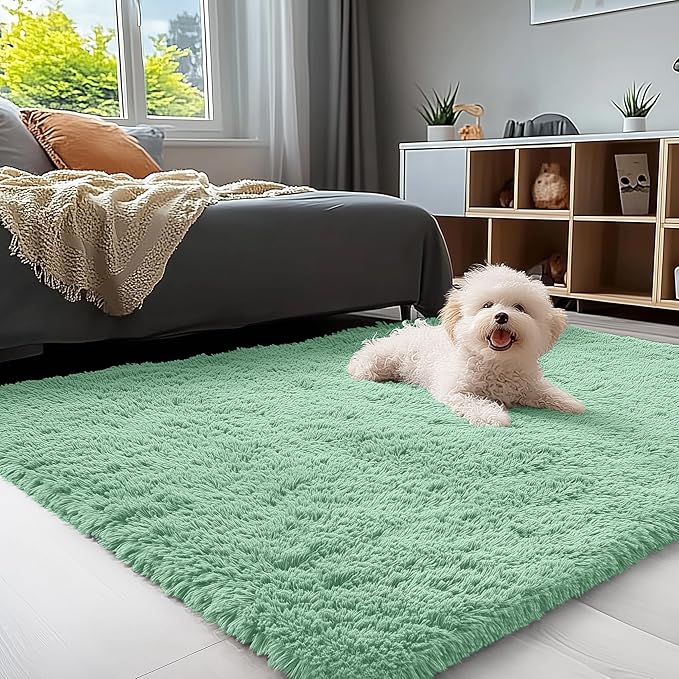 OLANLY 3x5 Machine Washable Small Bedside Rug, Soft Fluffy Shaggy Rugs by OLANLY