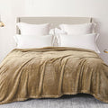 Exclusivo Mezcla Plush Fuzzy Fleece Bed Blanket Queen Size, Super Soft by ExclusivoMezcla