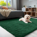 OLANLY 3x5 Machine Washable Small Bedside Rug, Soft Fluffy Shaggy Rugs by OLANLY