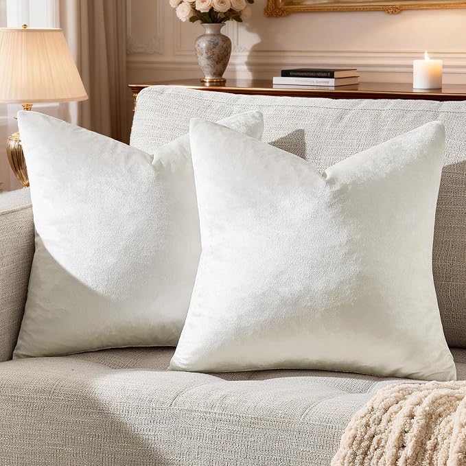 GIGIZAZA Velvet Pillow Covers 20x20: Pack of 2 Throw Pillows Soft Solid Covers by GIGIZAZAFocusingonhomedecoration