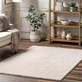 Nuloom Nia Beige, Cozy Shag, Fluffy and Soft, High Traffic, Stain Resistant by nuLOOM