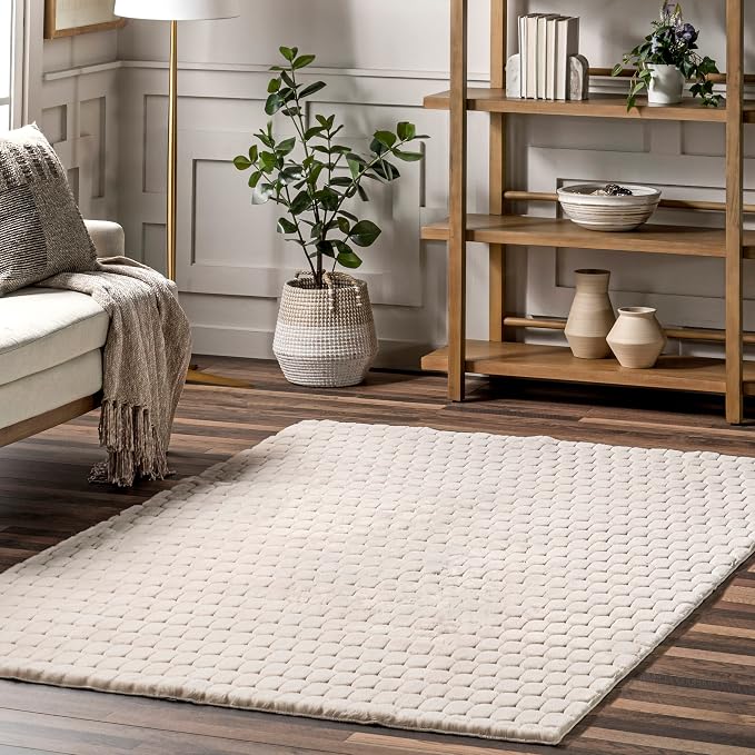 Nuloom Nia Beige, Cozy Shag, Fluffy and Soft, High Traffic, Stain Resistant by nuLOOM