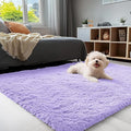OLANLY 3x5 Machine Washable Small Bedside Rug, Soft Fluffy Shaggy Rugs by OLANLY