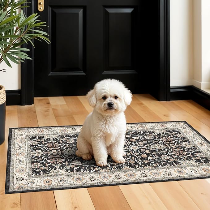 TOPRUUG 2x4 Entryway Runner Rug: Non-Slip Stain Resistant Rugs - Image 2