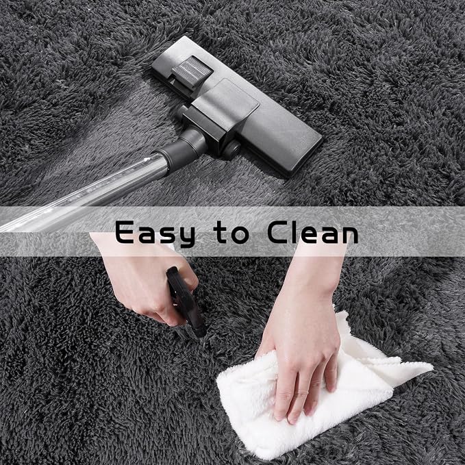 Pionblank Fluffy Small Rug for Bedroom 2x3 Feet, Shag Soft Area Rug for Bedside - Image 4