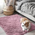 OLANLY 2x3 Machine Washable Small Bedside Rug, Soft Fluffy Shaggy Entryway by OLANLY