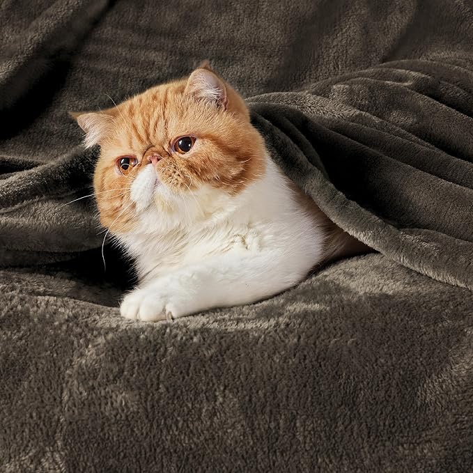 Bedsure GentleSoft Fleece Throw Blanket Brown - Image 2
