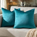 GIGIZAZA Decorative Throw Pillow Covers 18 x 18, Velvet Pillow Square Cushion by GIGIZAZAFocusingonhomedecoration