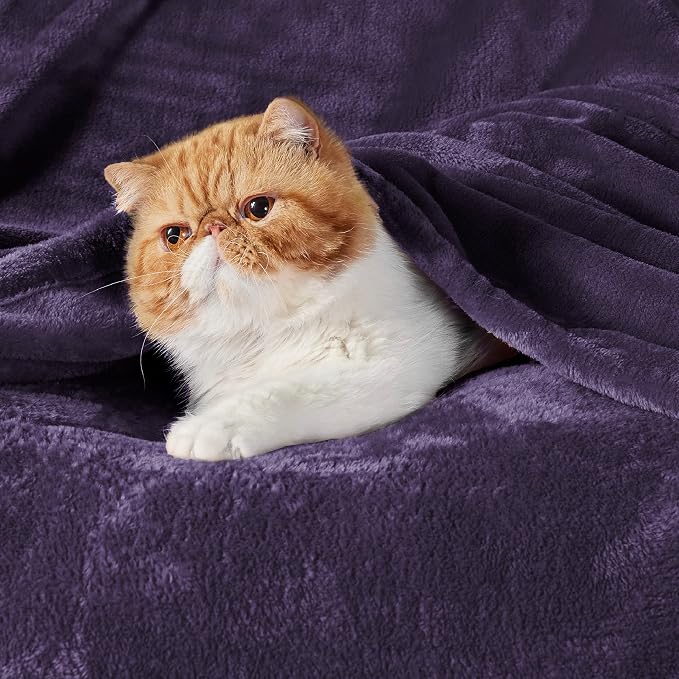 Bedsure GentleSoft Fleece Blankets Queen Size Purple - Image 2