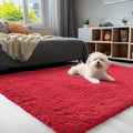 OLANLY 3x5 Machine Washable Small Bedside Rug, Soft Fluffy Shaggy Rugs by OLANLY