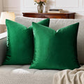 GIGIZAZA Decorative Couch Throw Pillow Covers, Pillow Cases Velvet Pillow Covers by GIGIZAZAFocusingonhomedecoration