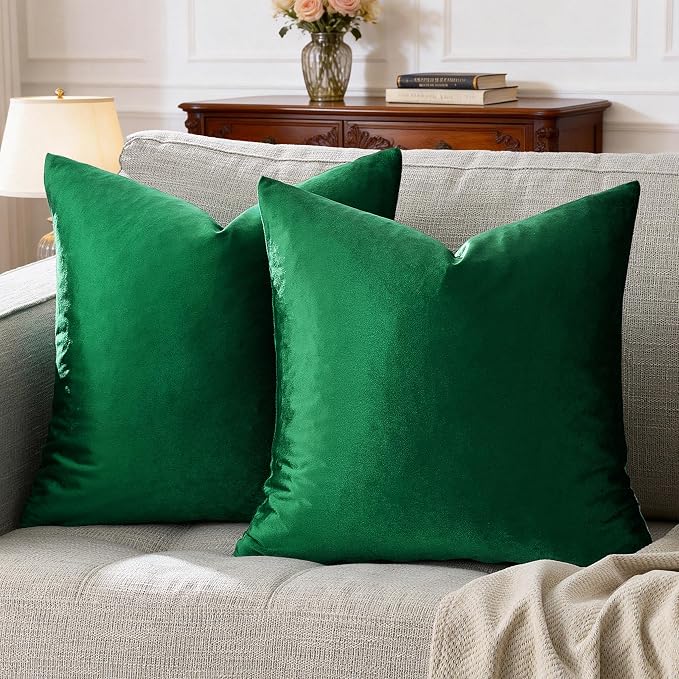 GIGIZAZA Decorative Couch Throw Pillow Covers, Pillow Cases Velvet Pillow Covers by GIGIZAZAFocusingonhomedecoration