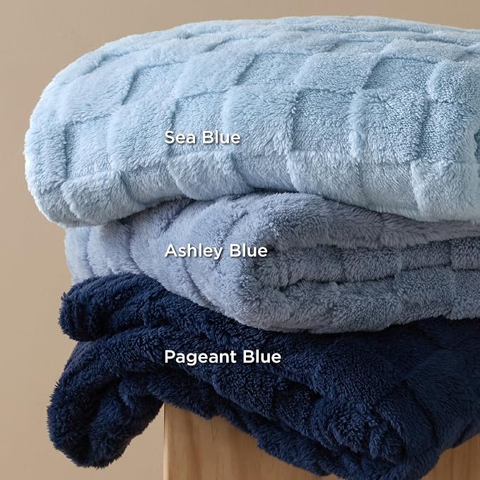 Bedsure GentleSoft Ashley Blue Throw Blanket - Image 7