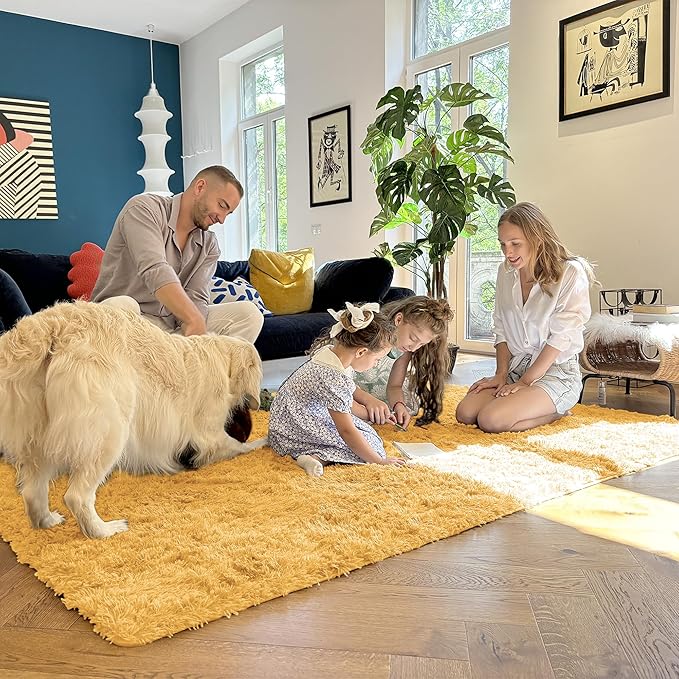 OLANLY 2x3 Machine Washable Small Bedside Rug, Soft Fluffy Shaggy Entryway - Image 6