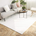 Ashler Faux Fur Rug, Ultra Soft Faux Rabbit Fur, 6 x 9 Feet Rectangle, Machine by AshlerHomeDeco