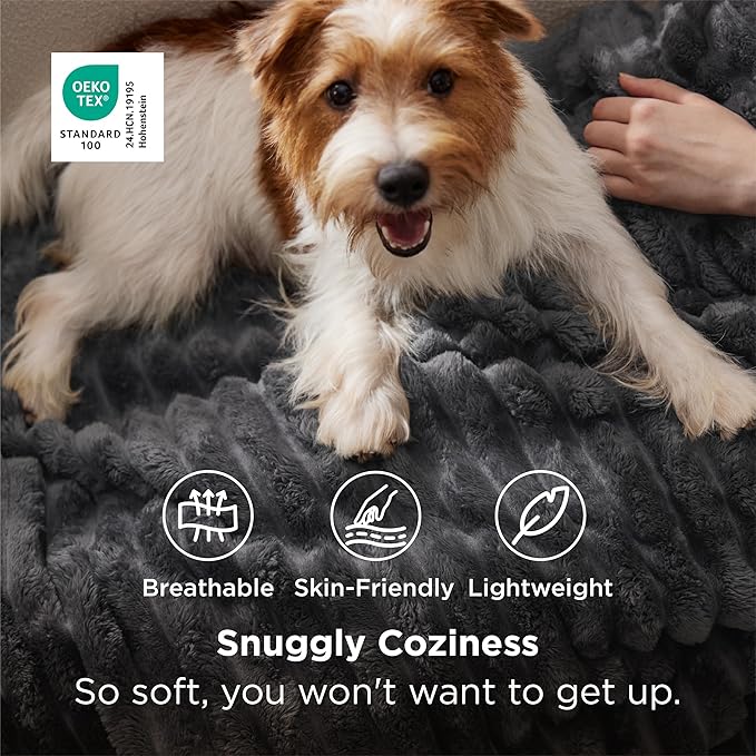 Bedsure GentleSoft Grey Fleece Blanket - Image 2
