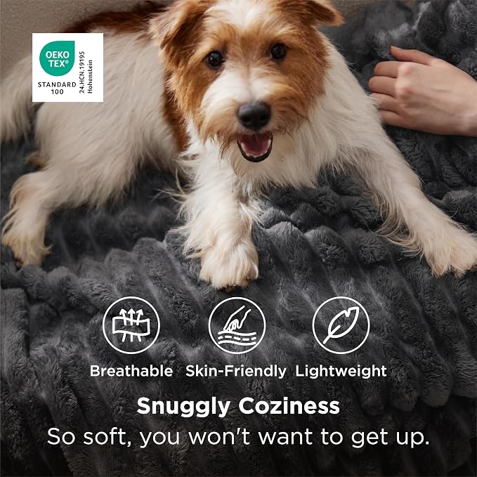 Bedsure GentleSoft Grey Fleece Twin Blanket - Image 2