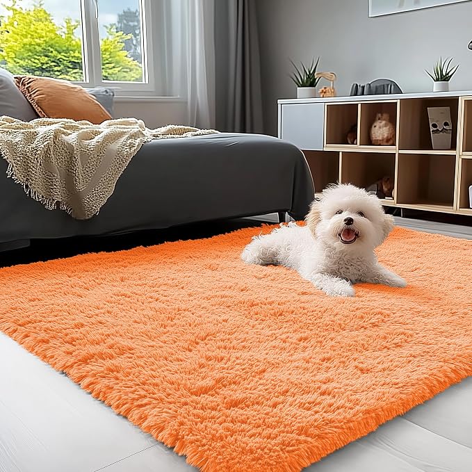 OLANLY 3x5 Machine Washable Small Bedside Rug, Soft Fluffy Shaggy Rugs by OLANLY