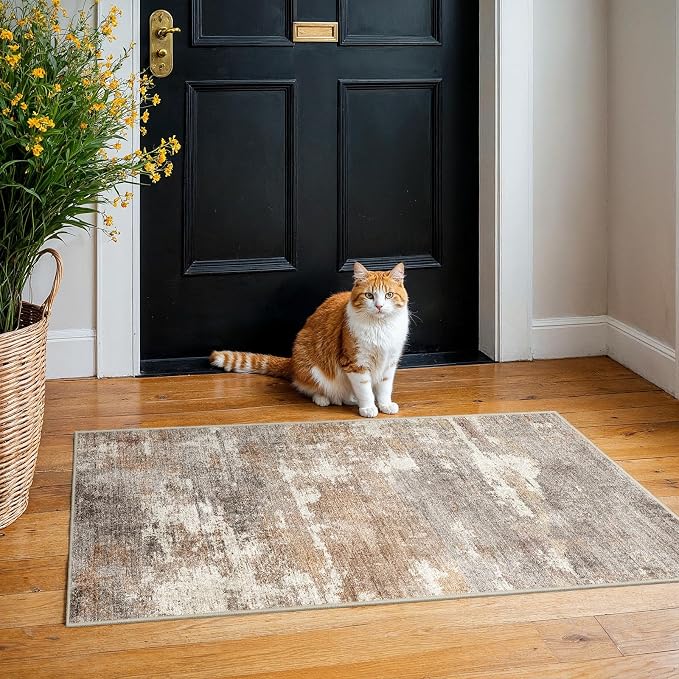 2x4 Washable Entryway Runner Rug: Abstract Small Area Rug Soft Non Slip Door Mat by Ksrau