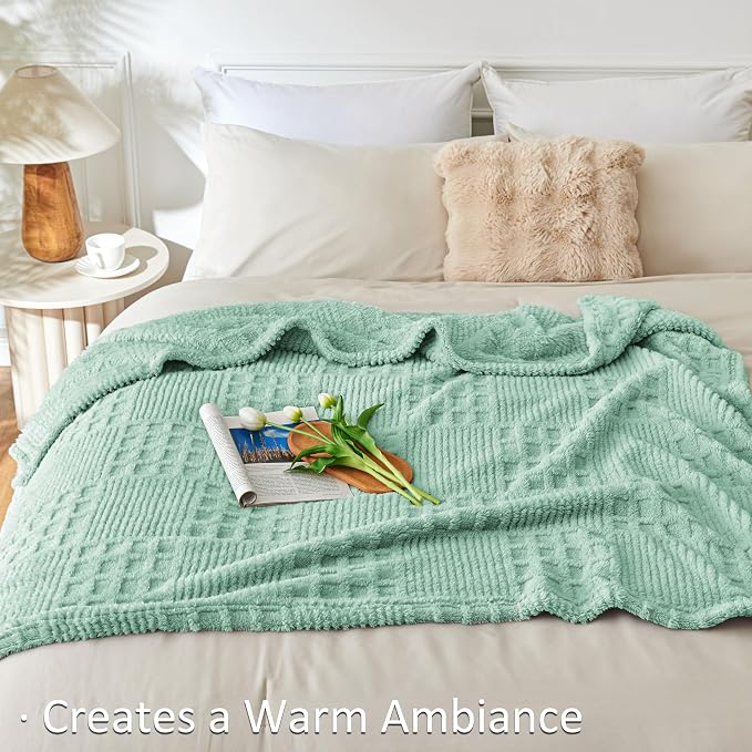 EXQ Home Fleece Throw Blanket for Couch or Bed - Image 4