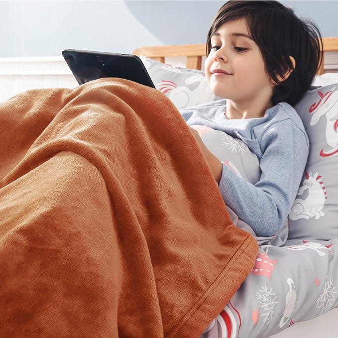 Bedsure GentleSoft Bedding Fleece Blanket - Image 5