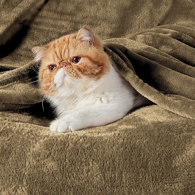 Bedsure GentleSoft Fleece Blankets Queen Size Camel - Image 2