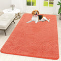 OLANLY Dog Door Mat for Muddy Paws 59x35, Absorbs Moisture and Dirt, Absorbent by OLANLY