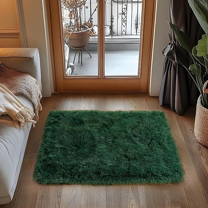 Small Area Rug, 2x3 Rug for Bedroom Shaggy Throw Rugs for Dorm Rug, Soft Shag - Image 2