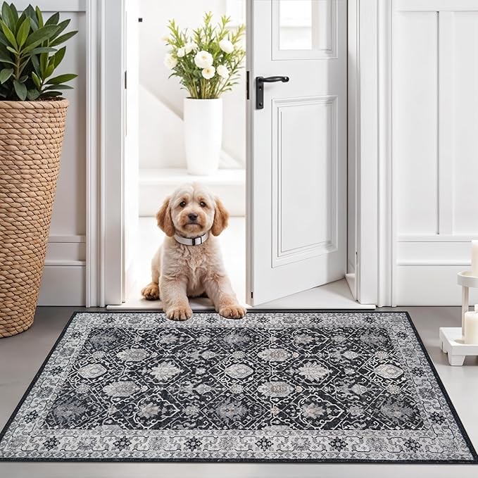 Washable 2x3 Entryway Area Rug: Vintage Soft Thin Door Mat by HYHAOYUNLAI