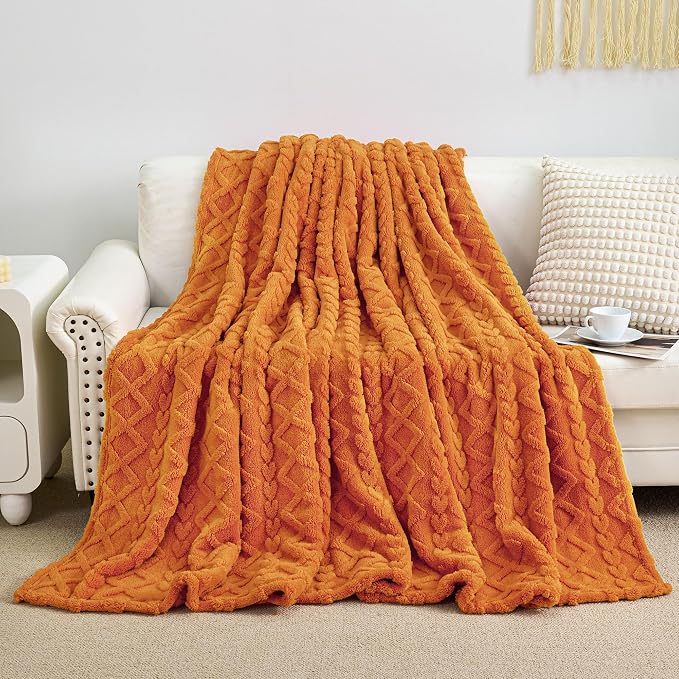 Aganear Blanket Queen Size - Image 4