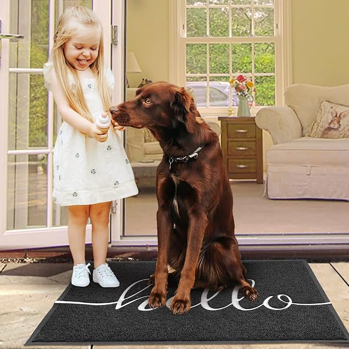 EARTHALL Funny Hello Mats Outdoor, Front Door Mat - Image 6