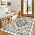 Madane Area Rug 3x5, Entryway Washable Vintage Runners Bedroom Non Slip Indoor by Madane