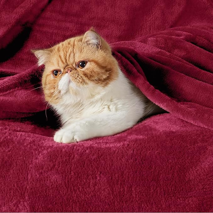 Bedsure GentleSoft Fleece Throw XL Blanket Red - Image 2