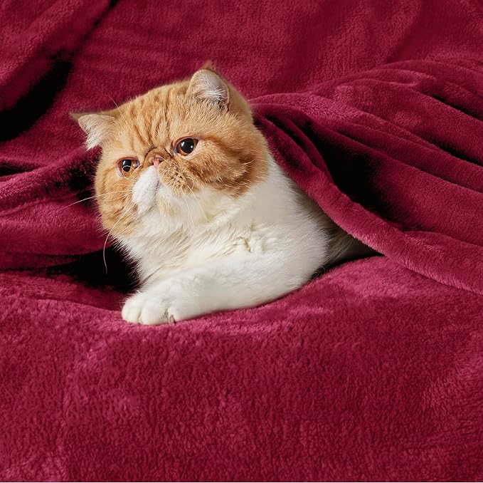 Flannel Fleece Luxury Blanket Red Queen Size Lightweight Cozy Plush Microfiber - Image 2