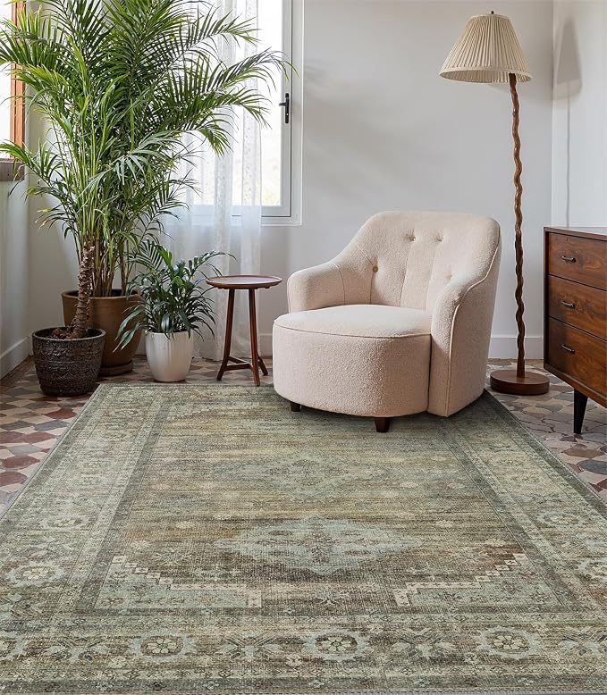 BEIMO Area Rugs 5x7 for Living Room Bedroom, Modern Boho Machine Washable Large by BEIMO