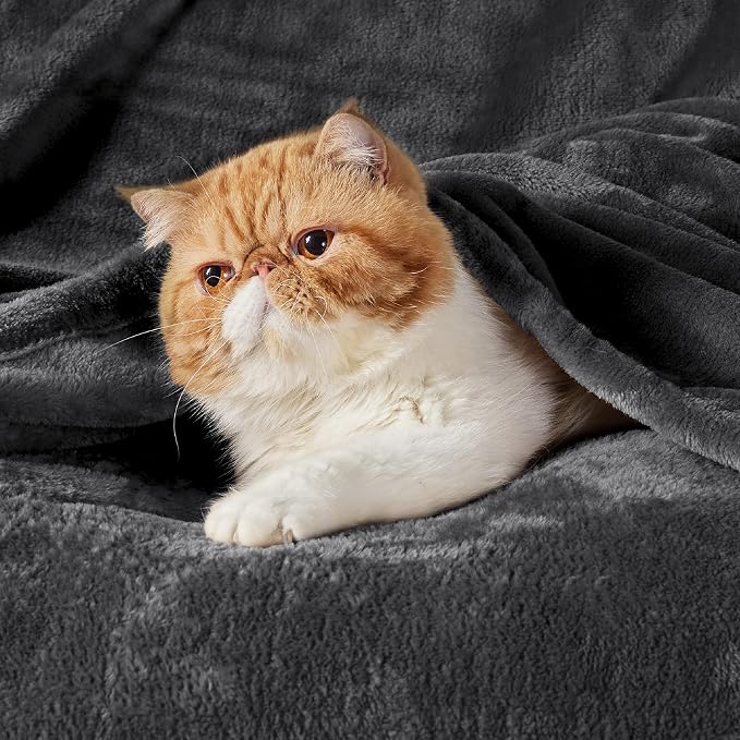 Bedsure GentleSoft Twin XL Fleece Blanket Dorm Bedding - Image 2