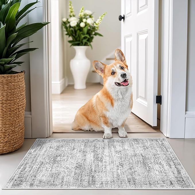 2x3 Washable Rug Runner for Bathroom, Soft Entryway Rug for Laundry Room by Restydon