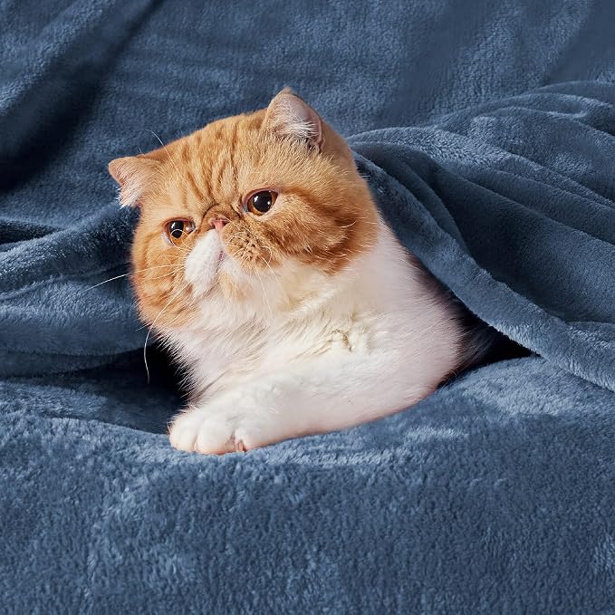 Bedsure GentleSoft Fleece Bed Blankets Full Size Mineral Blue - Image 2