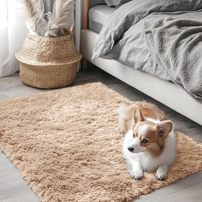 OLANLY 2x3 Machine Washable Small Bedside Rug, Soft Fluffy Shaggy Entryway by OLANLY