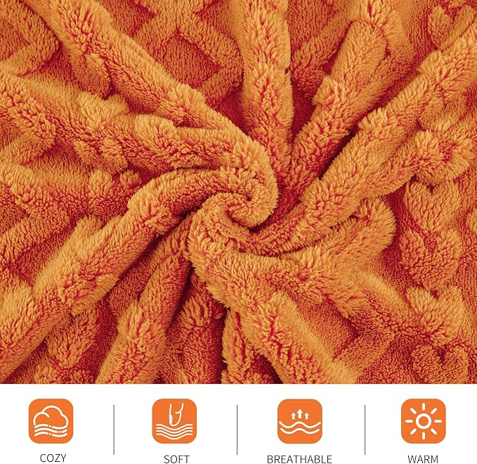 Aganear Blanket Queen Size - Image 5