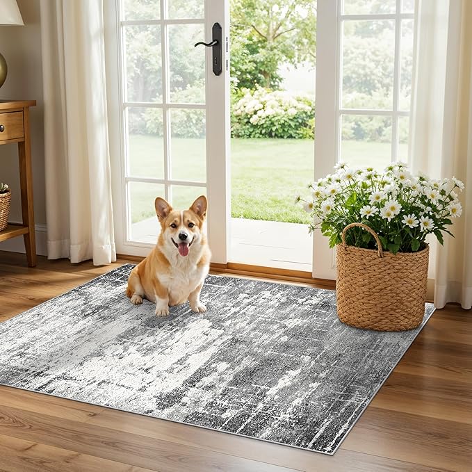 Washable 2x3 Entryway Area Rugs: Abstract Water Resistant Kitchen Rug Non-Slip by HYHAOYUNLAI
